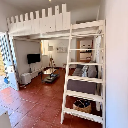 Pedroso - Palmira