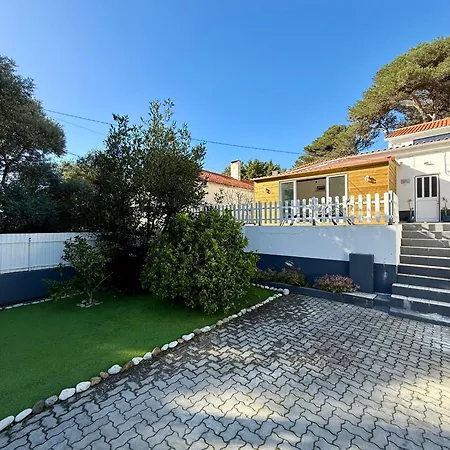 Pedroso - Palmira Cascais